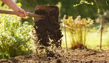 Environmental Analysis